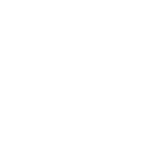 Github logo